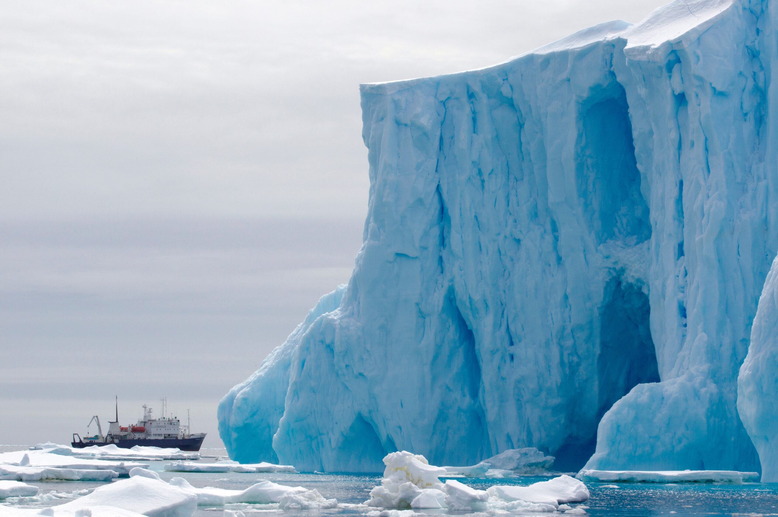 scuba-divers-travel-guide-to-antarctica-divertown